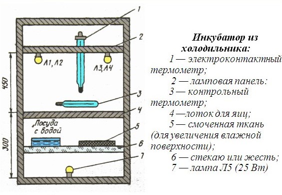 Как сделать инкубатор своими руками: чертежи и описание